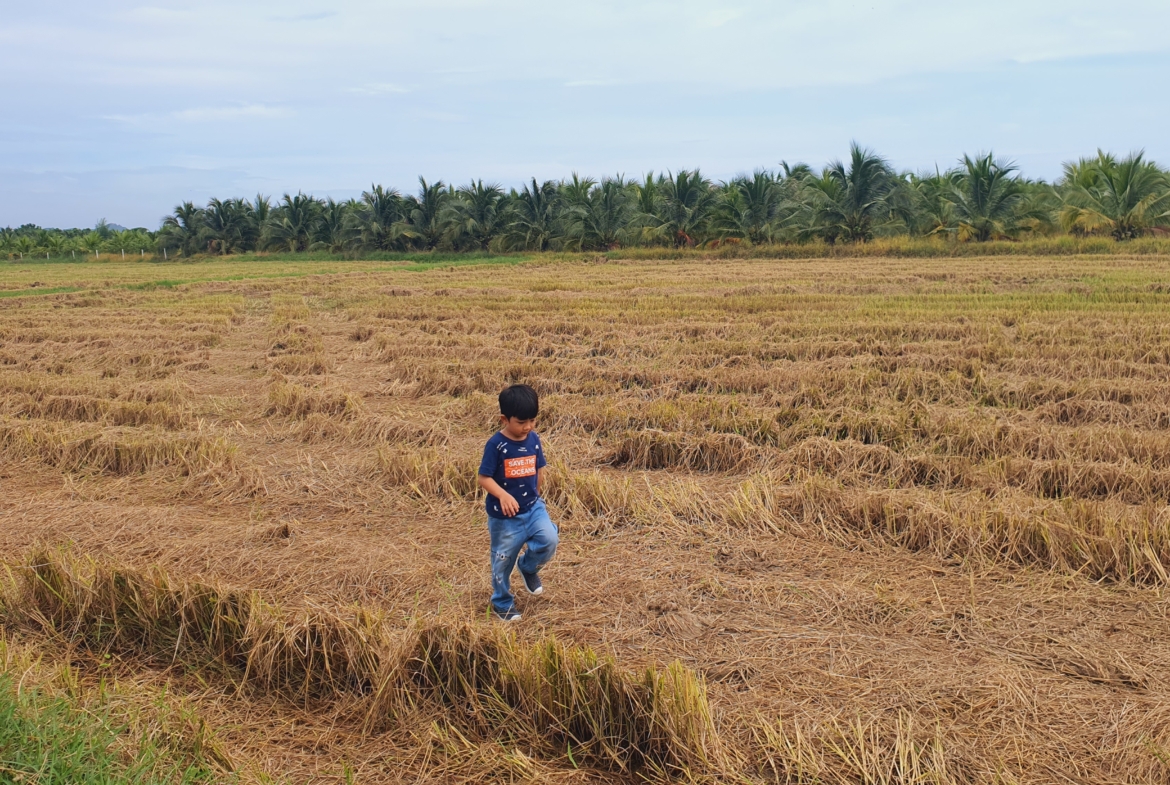 Cheap land for sale in Ratchaburi 2