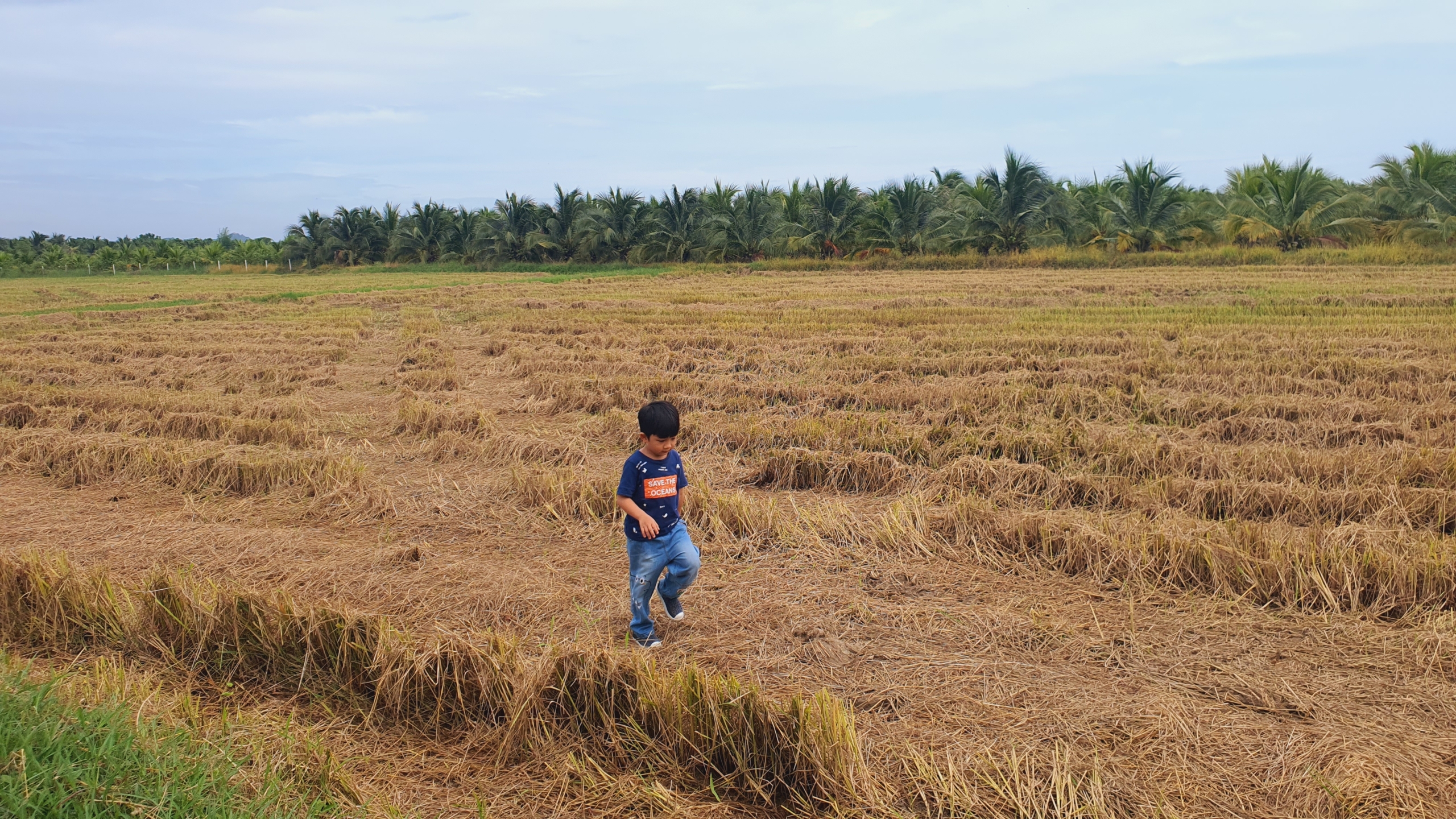 Cheap land for sale in Ratchaburi 2